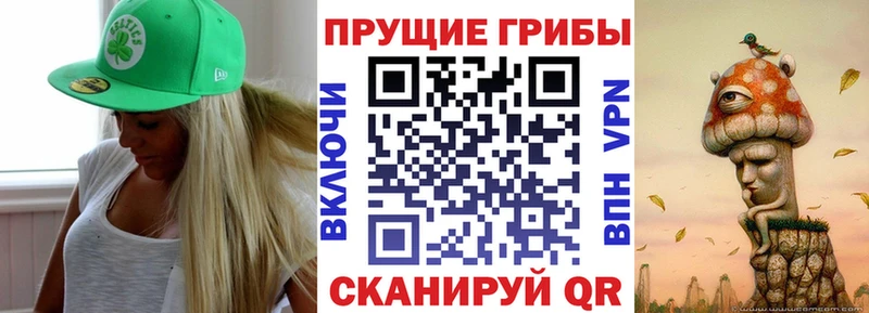 Галлюциногенные грибы Psilocybine cubensis где продают Орехово-Зуево